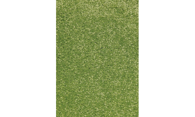 Kusový koberec Nasty 101149 Grün-200x300