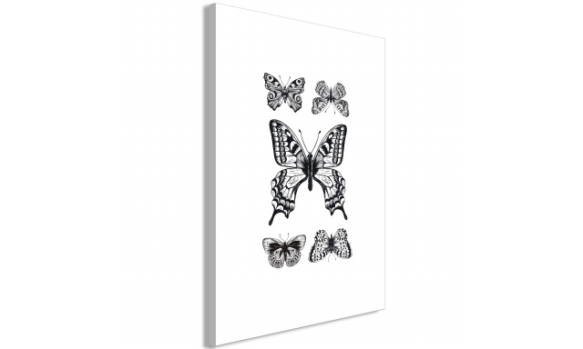 Obraz - Five Butterflies (1 Part) Vertical