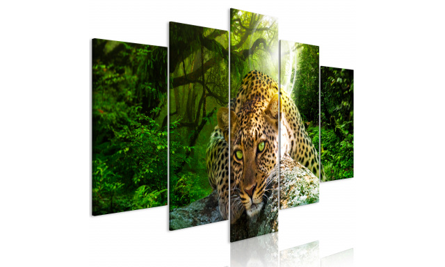 Obraz - Leopard Lying (5 Parts) Wide Green