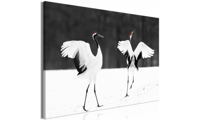 Obraz - Dancing Cranes (1 Part) Wide