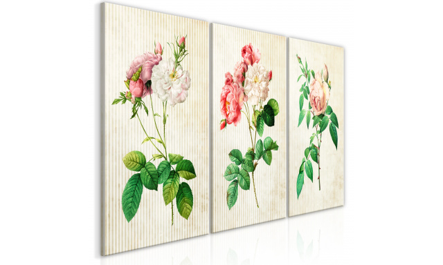 Obraz - Floral Trio (Collection)