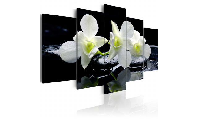 Obraz - Melancholic orchids