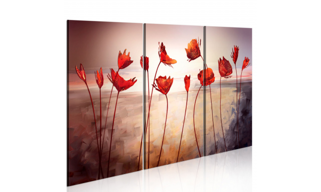 Obraz - Bright red poppies