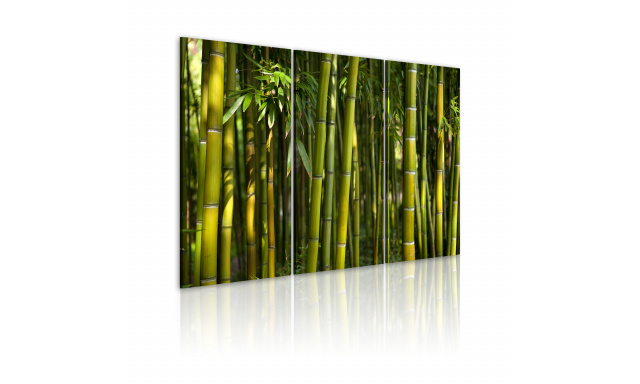 Obraz - Tropická zeleň bambusů