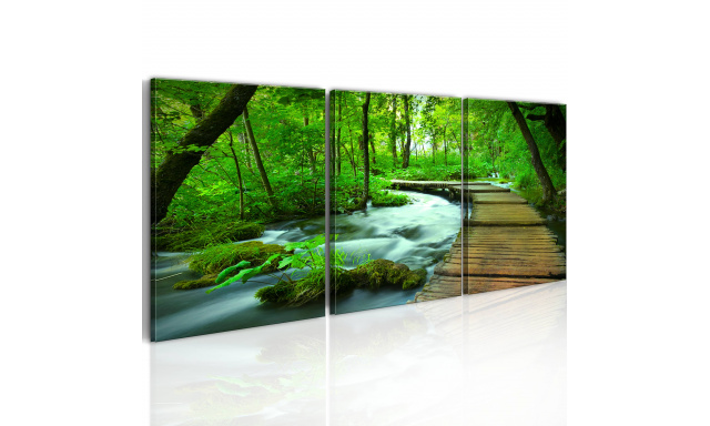 Obraz - Forest broadwalk - triptych