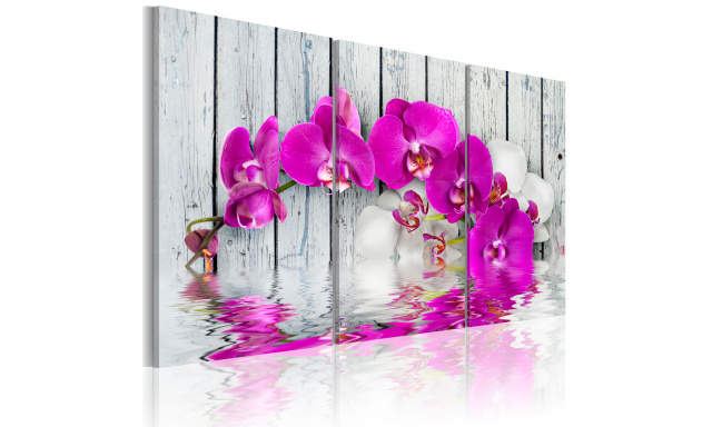 Obraz - harmonie: orchidea - triptych