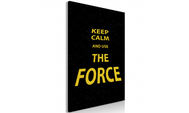 Obraz - Keep Calm and Ouse the Force (1 Part) Vertical