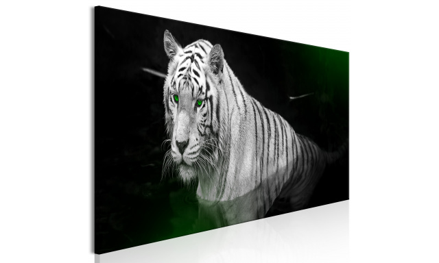 Obraz - Shining Tiger (1 Part) Green Narrow