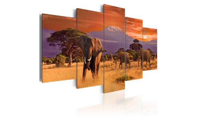 Obraz - Africa: Elephants