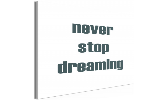 Obraz - Never Stop Dreaming (1 Part) Wide