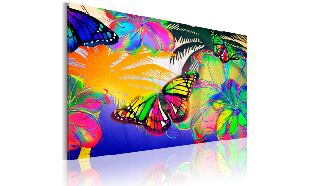 Obraz - Exotic butterflies