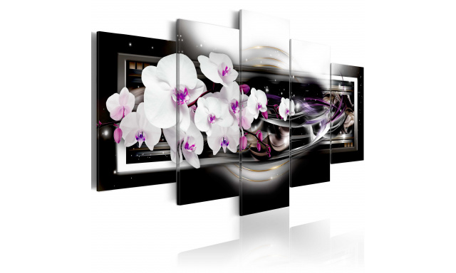 Obraz - Orchids on a black background