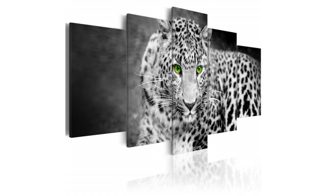 Obraz - Leopard - black&white