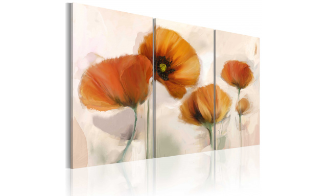 Obraz - Artistic poppies - triptych