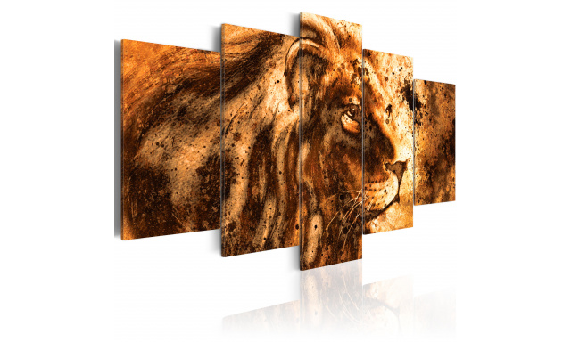 Obraz - Beautiful Lion