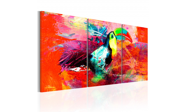 Obraz - Colourful Toucan