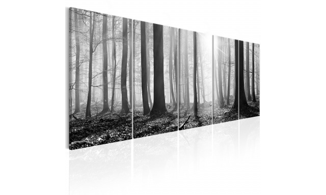 Obraz - Monochrome Forest