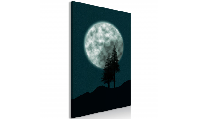 Obraz - Beautiful Full Moon (1 Part) Vertical