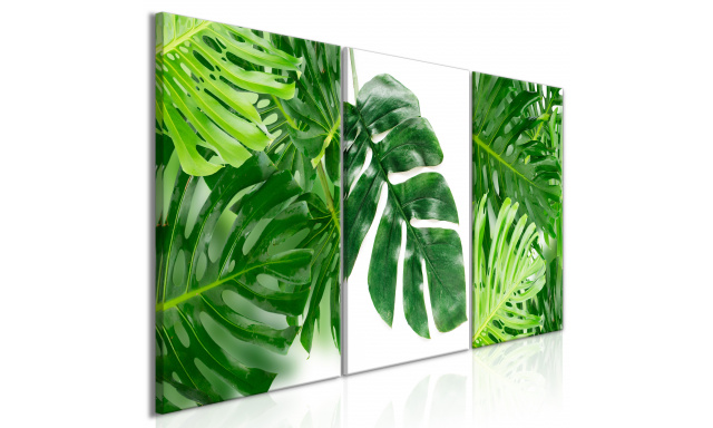 Obraz - Palm Leaves (3 Parts)