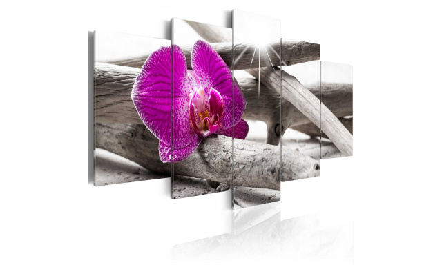 Obraz - Orchid on beach