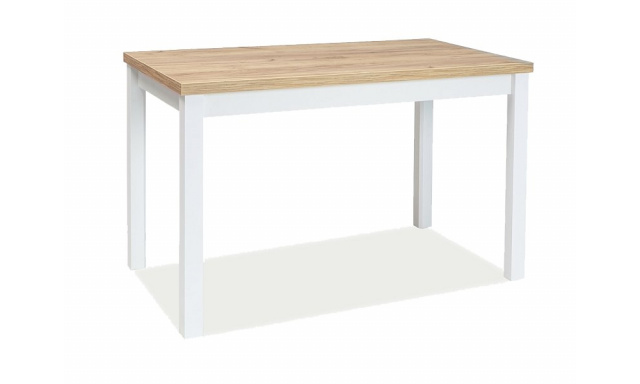Jídelní stůl Sego113, dub zlatý/bílý, 100x60cm