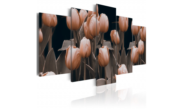 Obraz - Tulips in sepia