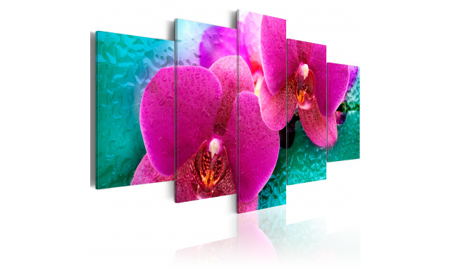 Obraz - Exotic orchids