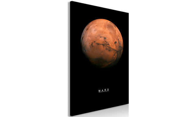Obraz - Mars (1 Part) Vertical