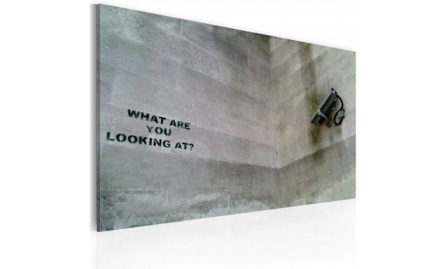 Obraz - What are you looking at? (Banksy)