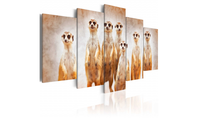 Obraz - Family of meerkats