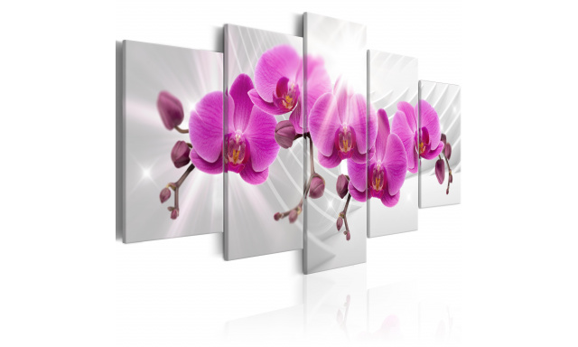 Obraz - Abstract Garden: Pink Orchids
