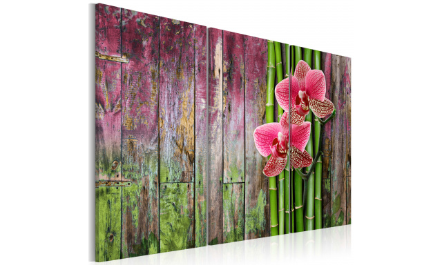 Obraz - Květina a bambus