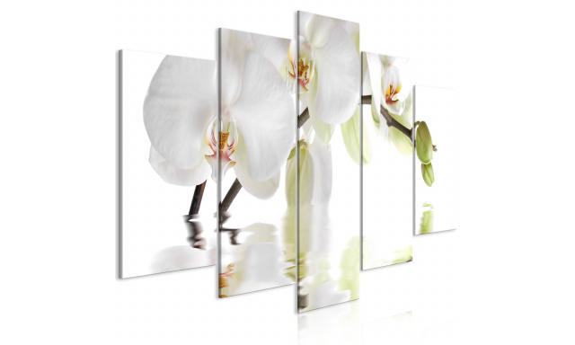Obraz - Wonderful Orchid (5 Parts) Wide
