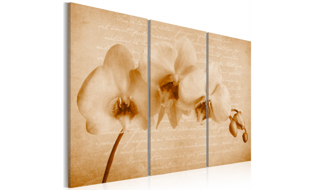 Obraz - orchidea (vintage)