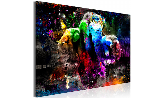 Obraz - Colorful Elephants (1 Part) Wide